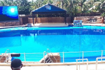 Silver Sands timeshare resort in Durban Central, KZN