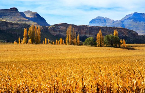 Free State timeshare resorts